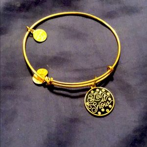 Alex and ani bracelet
